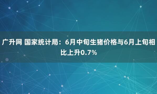广升网 国家统计局：6月中旬生猪价格与6月上旬相比上升0.7%