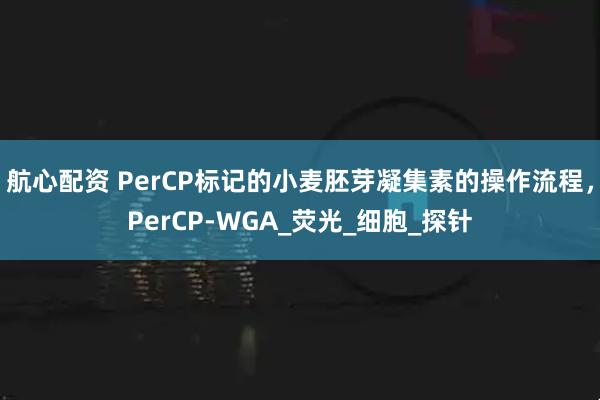 航心配资 PerCP标记的小麦胚芽凝集素的操作流程，PerCP-WGA_荧光_细胞_探针